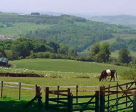 countryside